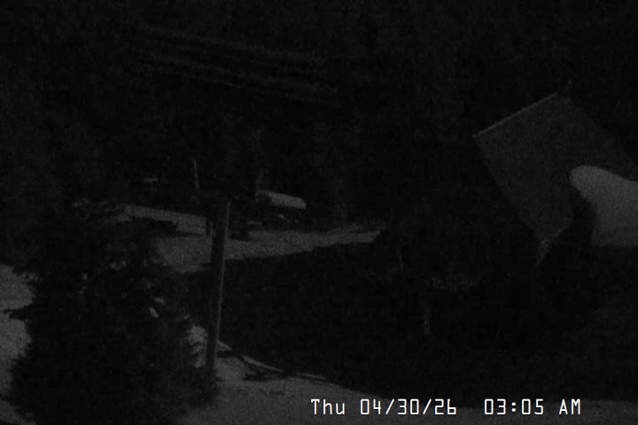 Live Feed: Magic Mile Camera