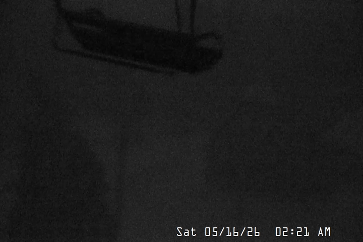 Live Feed: Magic Mile Camera