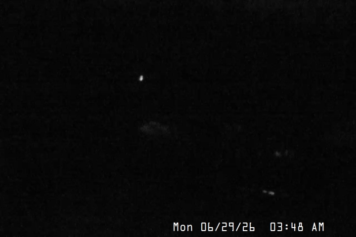 Live Feed: Magic Mile Camera