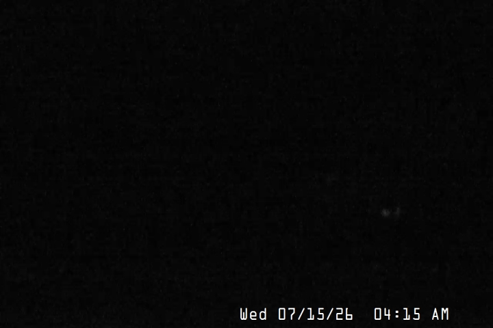 Live Feed: Magic Mile Camera