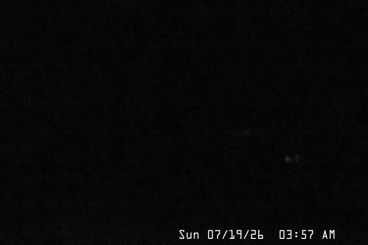 Live Feed: Magic Mile Camera