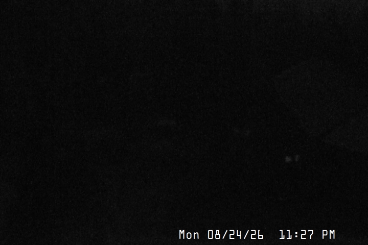 Live Feed: Magic Mile Camera