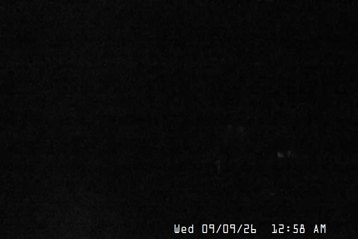 Live Feed: Magic Mile Camera