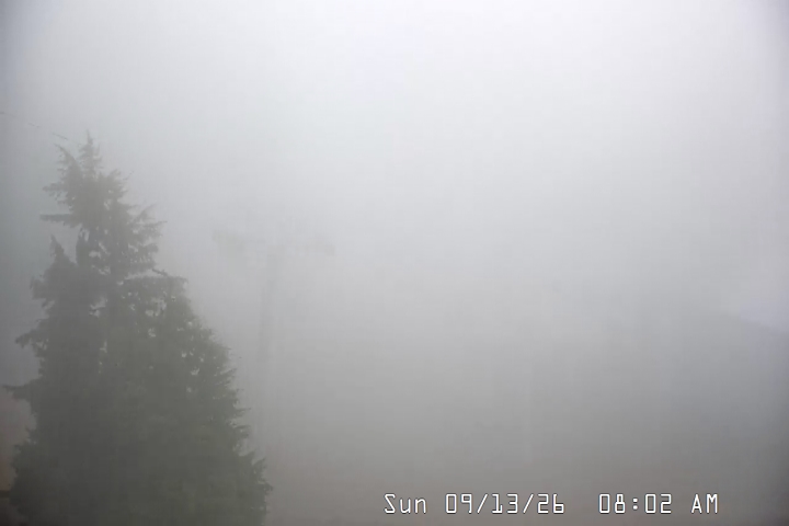 Live Feed: Magic Mile Camera