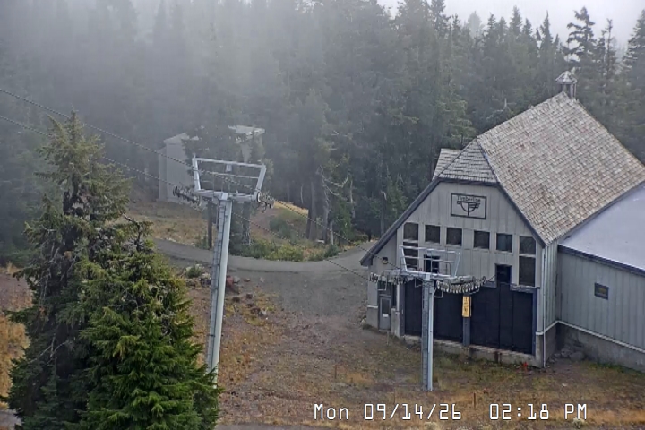 Live Feed: Magic Mile Camera