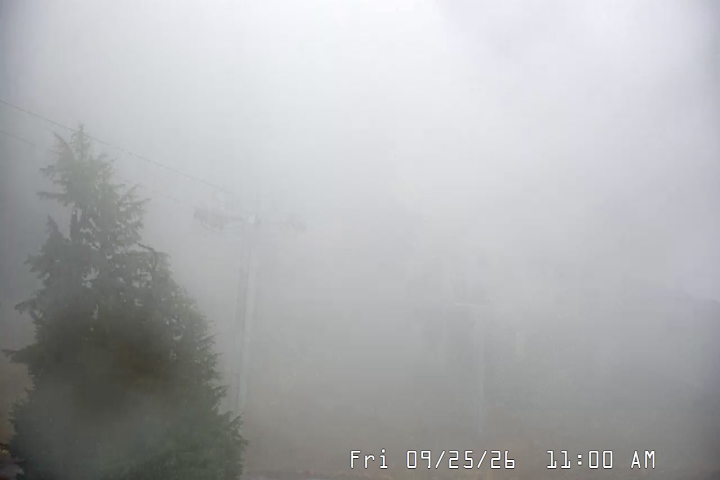 Live Feed: Magic Mile Camera