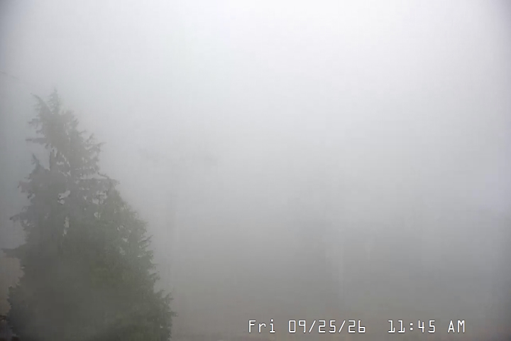 Live Feed: Magic Mile Camera