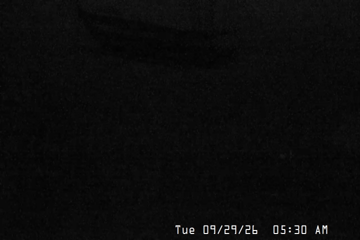 Live Feed: Magic Mile Camera