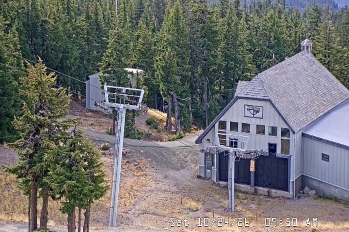 Live Feed: Magic Mile Camera