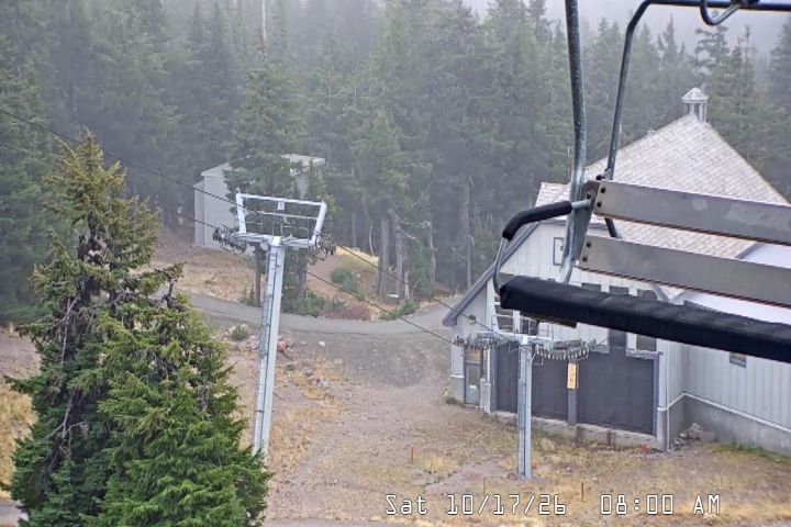 Live Feed: Magic Mile Camera