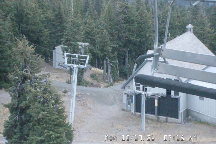 Live Feed: Magic Mile Camera