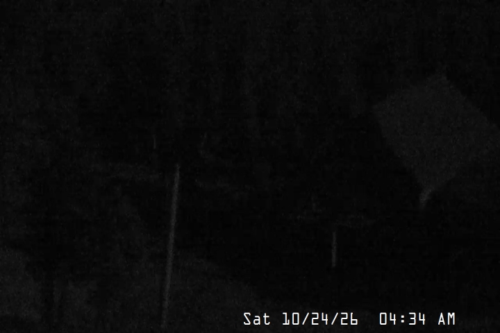 Live Feed: Magic Mile Camera