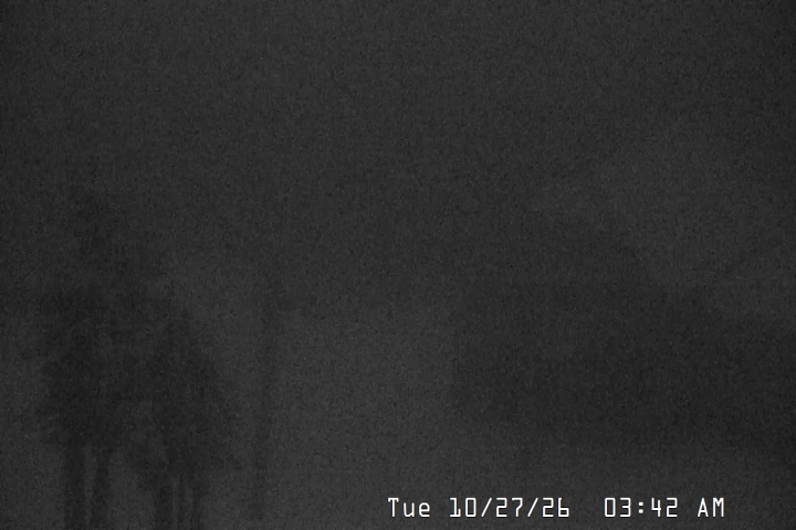 Live Feed: Magic Mile Camera