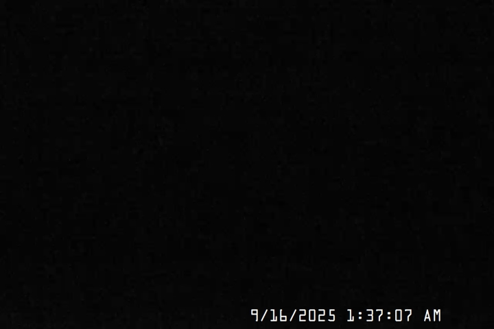 Live Feed: Jeff Flood Camera