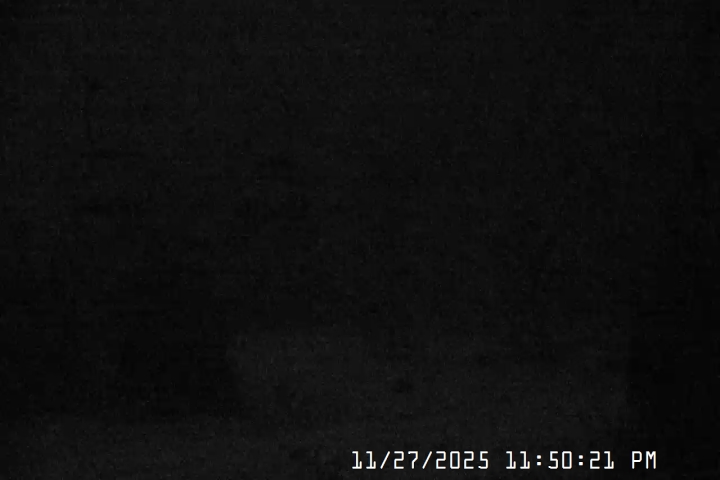 Live Feed: Jeff Flood Camera