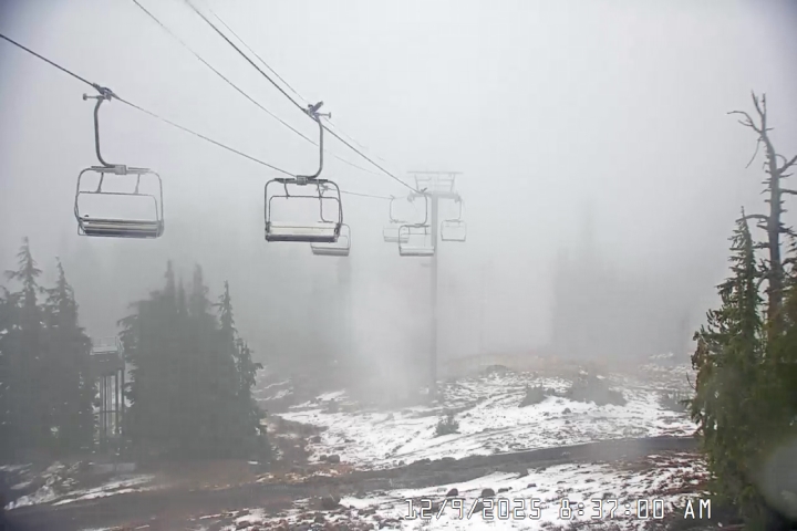 Live Feed: Jeff Flood Camera