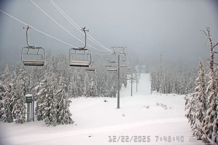 Live Feed: Jeff Flood Camera