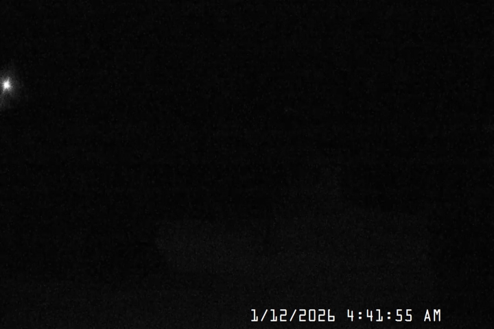 Live Feed: Jeff Flood Camera