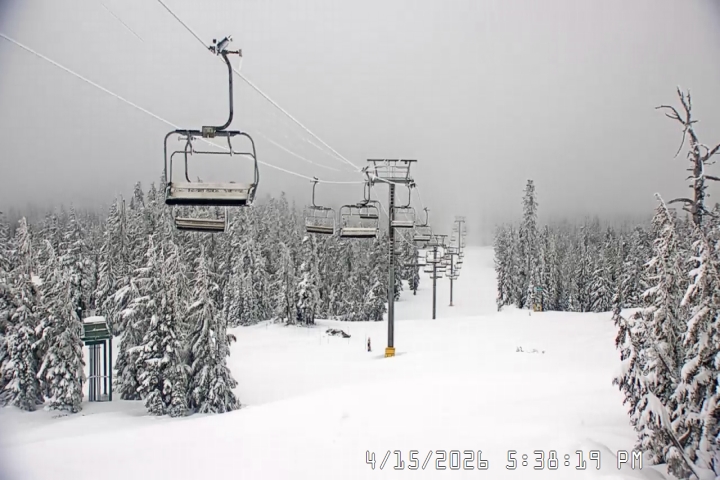 Live Feed: Jeff Flood Camera