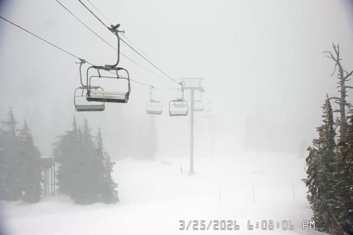 Live Feed: Jeff Flood Camera