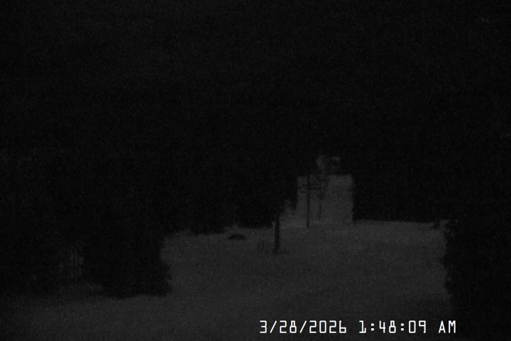 Live Feed: Jeff Flood Camera