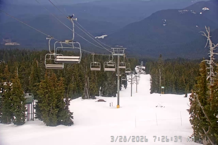 Live Feed: Jeff Flood Camera