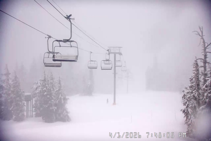 Live Feed: Jeff Flood Camera