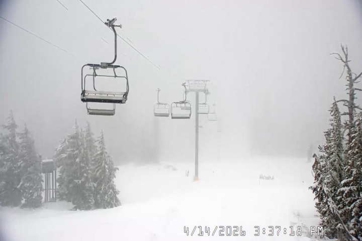 Live Feed: Jeff Flood Camera