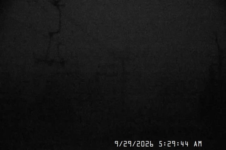 Live Feed: Jeff Flood Camera