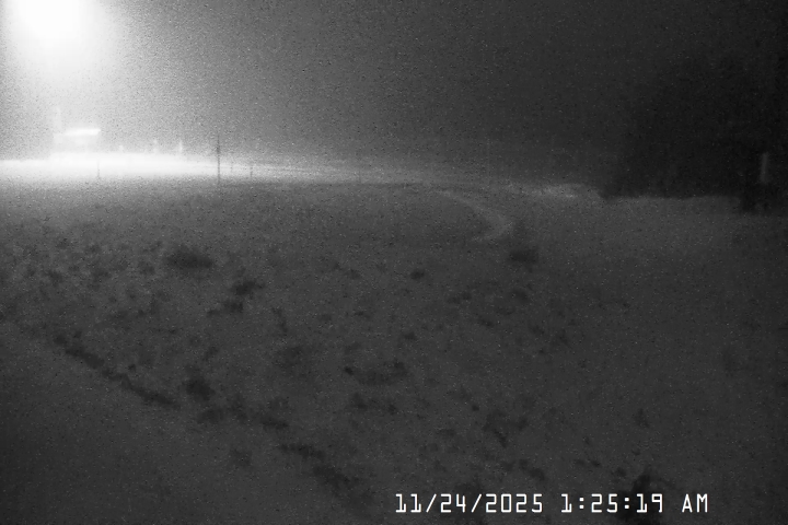 Live Feed: Bruno's Lift Camera