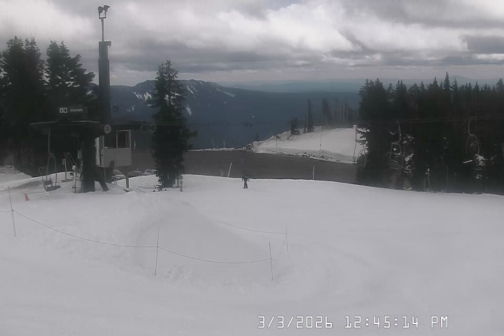 Live Feed: Bruno's Lift Camera