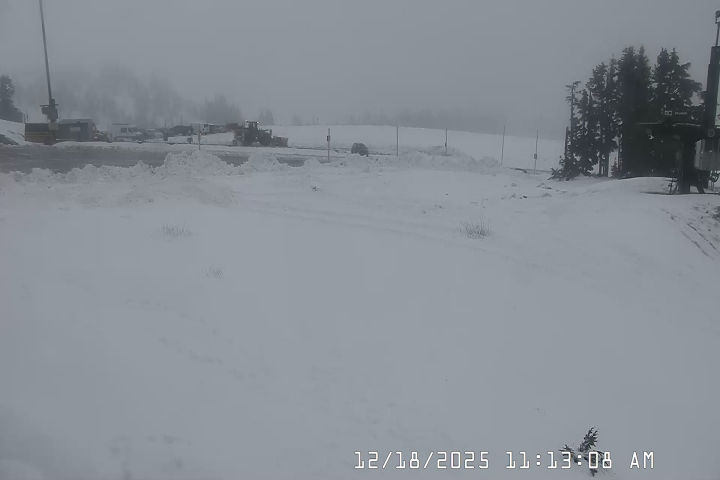 Live Feed: Bruno's Lift Camera