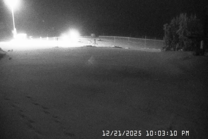 Live Feed: Bruno's Lift Camera