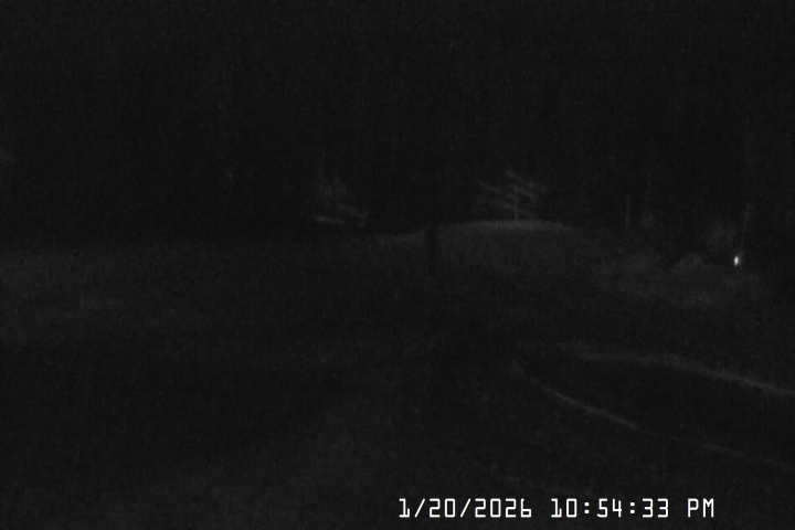 Live Feed: Bruno's Lift Camera