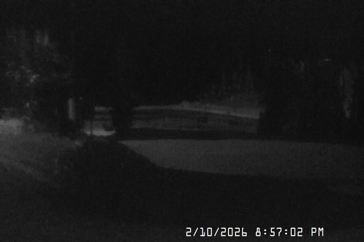 Live Feed: Bruno's Lift Camera