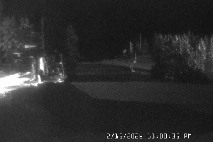 Live Feed: Bruno's Lift Camera