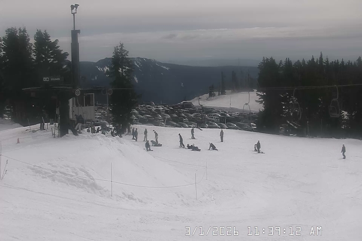 Live Feed: Bruno's Lift Camera