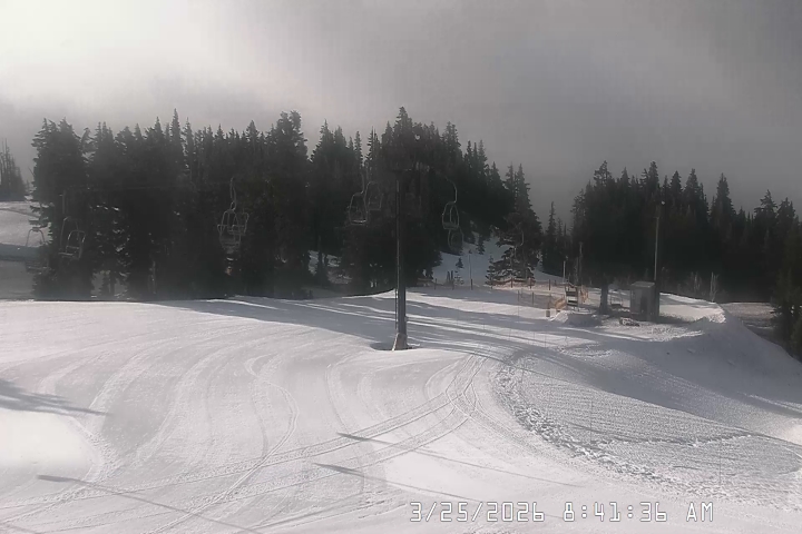 Live Feed: Bruno's Lift Camera