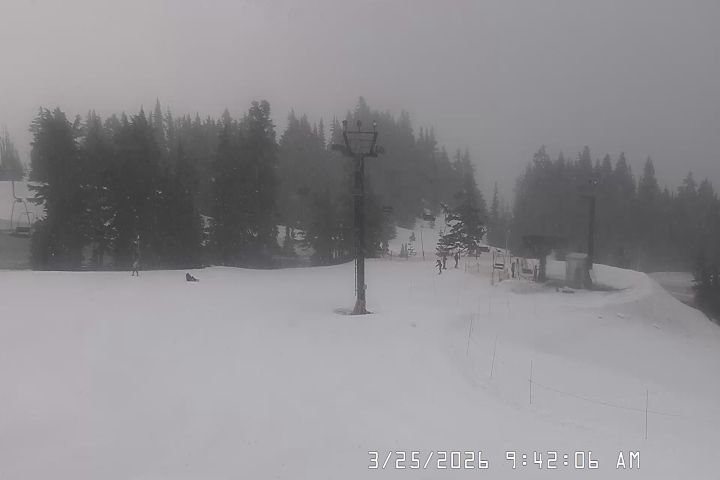 Live Feed: Bruno's Lift Camera