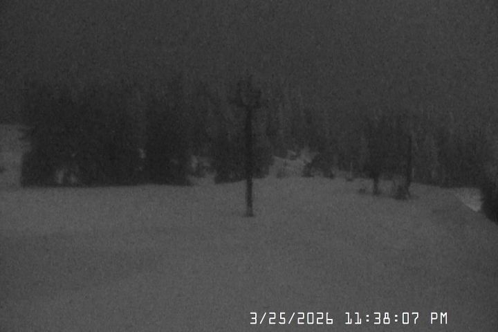 Live Feed: Bruno's Lift Camera