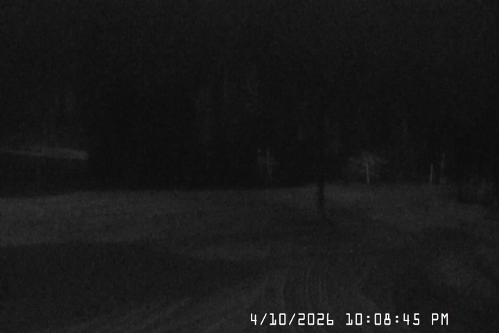 Live Feed: Bruno's Lift Camera