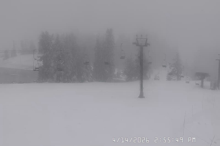 Live Feed: Bruno's Lift Camera