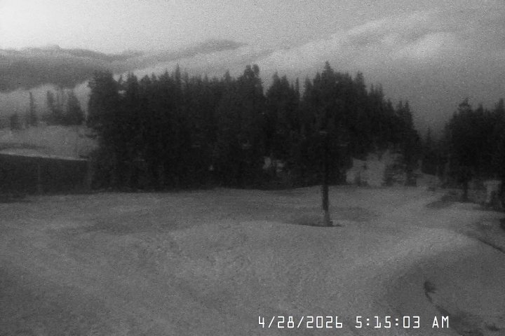 Live Feed: Bruno's Lift Camera