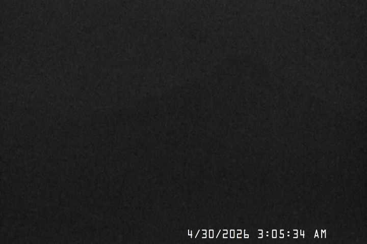 Live Feed: Bruno's Lift Camera