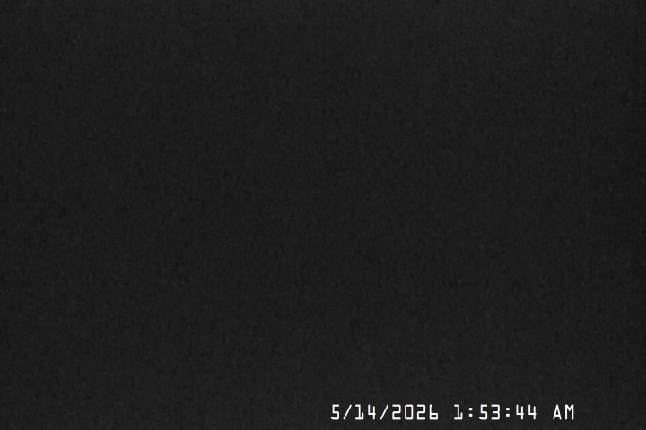Live Feed: Bruno's Lift Camera