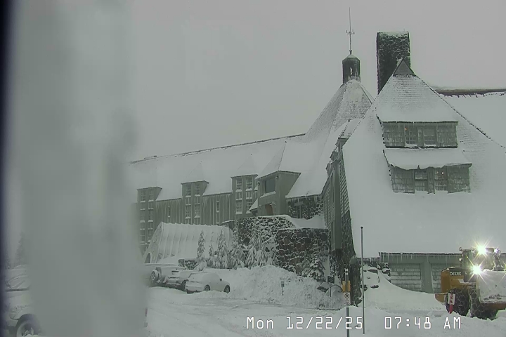 Live Feed: Timberline Lodge Camera