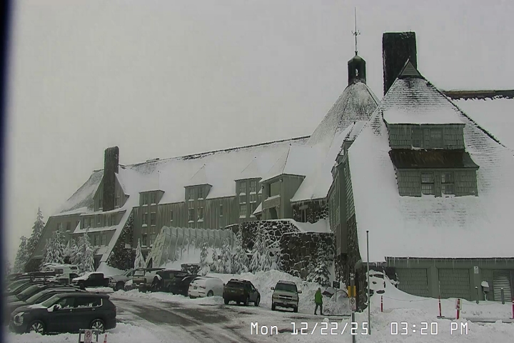 Live Feed: Timberline Lodge Camera