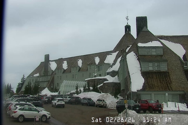 Live Feed: Timberline Lodge Camera