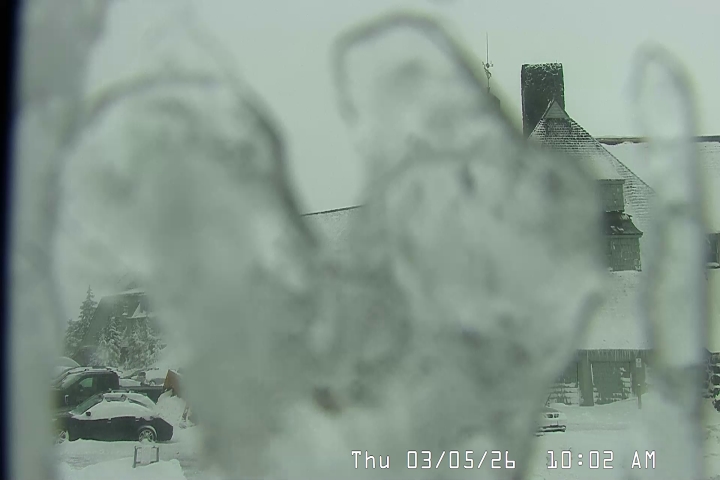 Live Feed: Timberline Lodge Camera