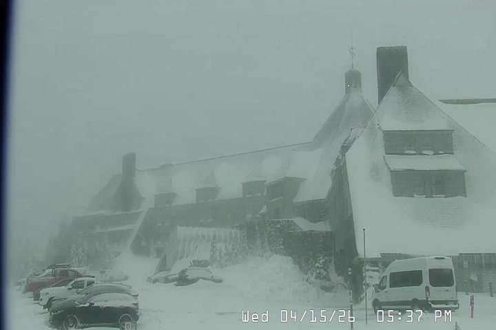 Live Feed: Timberline Lodge Camera